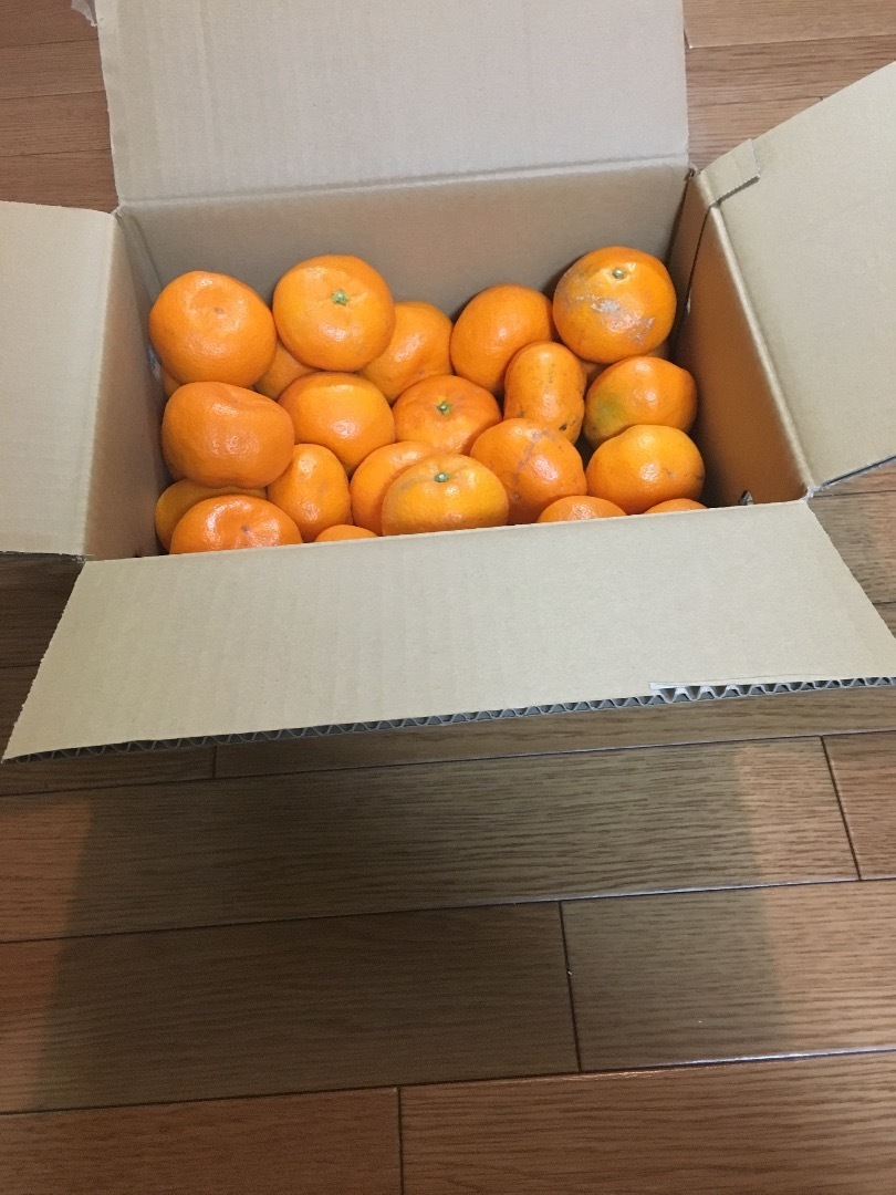 お すそ わけ 村